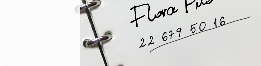 Flora - Przedsiębiorstwo Usług Ogrodniczych